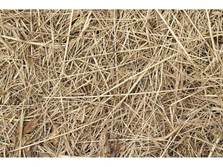 Ray The Hay Small Animal Loose Fill Bagged Straw Large Supply