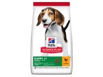 Hill s Science Plan Puppy Medium Dry Dog Chicken 2.5kg Cheap