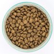 Burns Mini with Chicken Puppy Food 2kg Online now