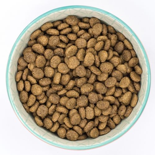 Burns Mini with Chicken Puppy Food 2kg Online now