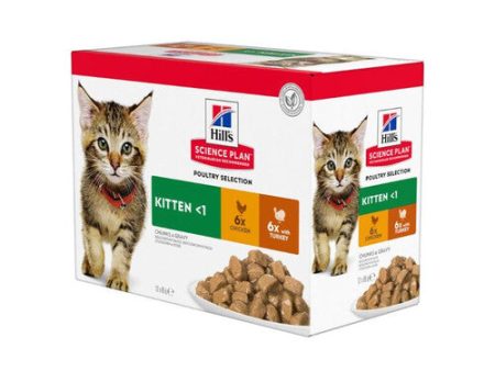 Hill s Science Plan Kitten Wet Multipack Chicken & Turkey 12x85g Cheap