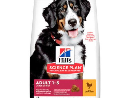 Hill s Science Plan Adult Large Breed Dry Dog Chicken 14kg Online Hot Sale