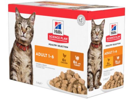 Hill s Science Plan Adult Wet Cat Multipack Chicken & Turkey 12x85g For Cheap