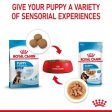 Royal Canin Nutrition Wet Puppy Food Maxi in Gravy 10 x 140g Online Sale