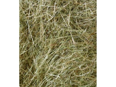 Ray The Hay Small Animal Loose Fill Bagged Hay Large Hot on Sale