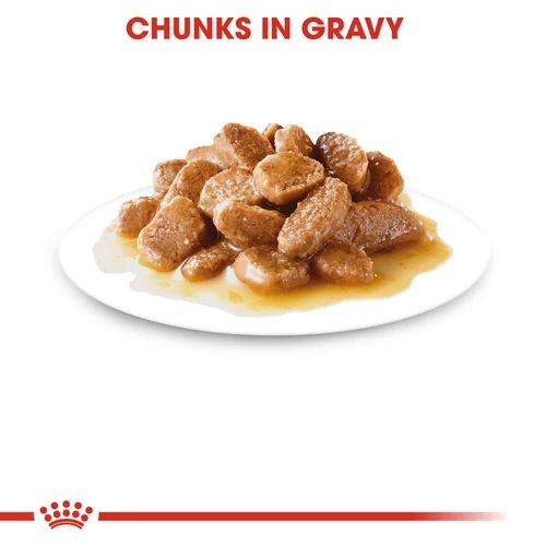 Royal Canin Wet Dog Food Mini Adult Pouch Gravy 12 x 85g Online