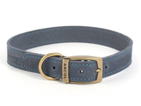 Ancol Timberwolf Leather Collar Blue 26-31cm Size 2 on Sale