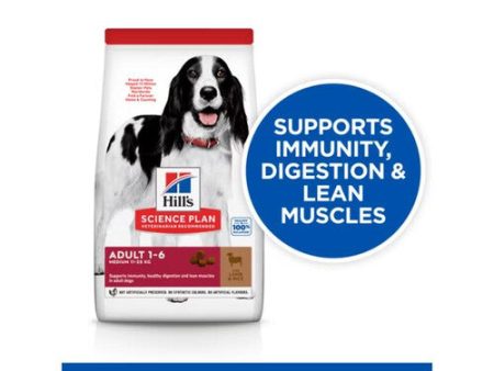 Hill s Science Plan Adult Medium Dry Dog Lamb & Rice 2.5kg For Cheap