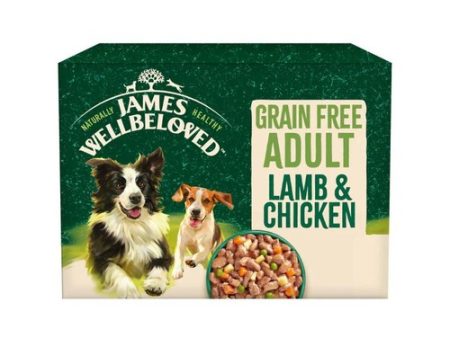 James Wellbeloved Adult Wet Dog Food Pouch With Lamb, Rice And Vegetables In Gravy 10 x 150g Hot on Sale