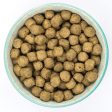 Burns Original with Fish Dog Food 2kg Online Sale