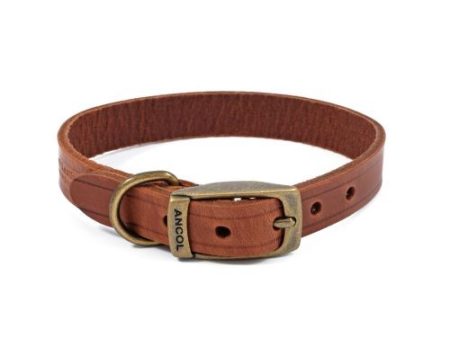 Ancol Latigo Leather Collar Chestnut 20-26cm Size 1 Online Hot Sale