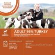 Wellness Core 95% Turkey with Kale Wet Adult Grain Free Dog Food 6 x 400g Fashion