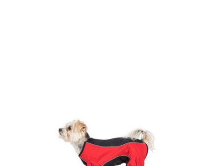 Trespaws Tia Black and Red Dog Raincoat With Legs (XXS) Cheap