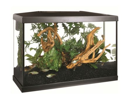 Marina Lux LED Aquarium 38L Fashion