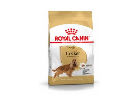 Royal Canin Cocker Spaniel Adult Dog Food 3kg Online Sale