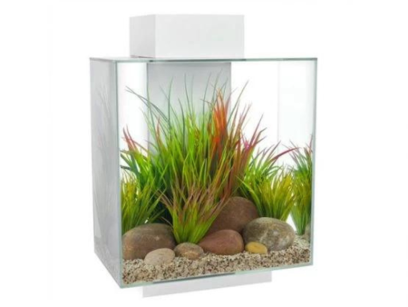 Fluval Edge 2.0 Aquarium 46 Litre - Gloss White Cheap