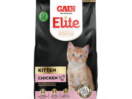 Gain Elite - Kitten For Cheap