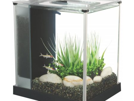 Fluval Spec 10 Litre  Desktop Glass Aquarium- Black Hot on Sale