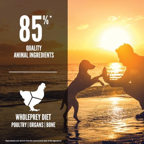 Orijen Grain Free Dry Puppy Food 2kg Cheap