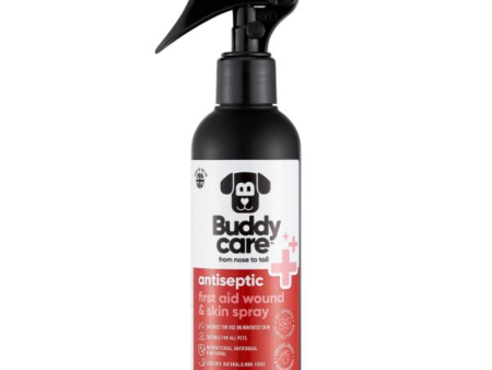 Buddy Care Antiseptic Wound Spray Online Sale