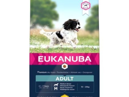 Eukanuba Active Adult Dog Dry Food for Medium Breeds with Chicken 2kg For Cheap