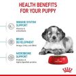 Royal Canin Dry Puppy Food for Medium Breeds 4kg Sale