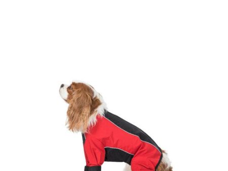 Trespaws Tia Black and Red Dog Raincoat With Legs (XS) Online