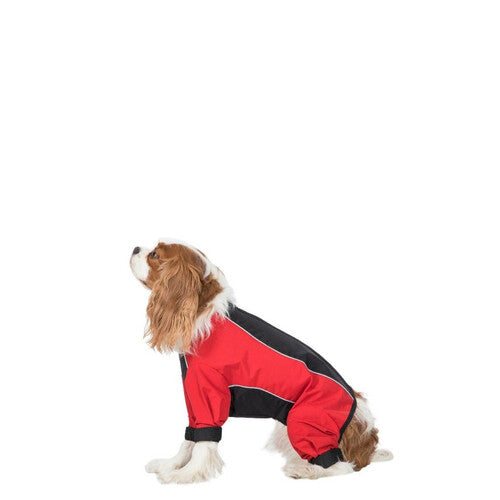 Trespaws Tia Black and Red Dog Raincoat With Legs (XS) Online