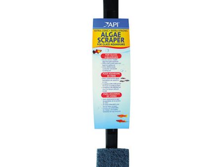 Algae Scraper for Glass Aquariums For Cheap