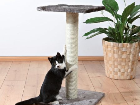 Espejo Scratching Post 69cm Online Sale