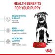 Royal Canin Maxi DryPuppy Food 15kg For Discount