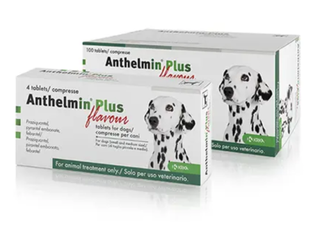 Anthelmin Plus - Worming Tablet - Small to Large Dogs Cheap