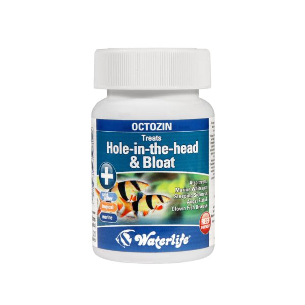 Waterlife - Octozin 80 Tablets Online now