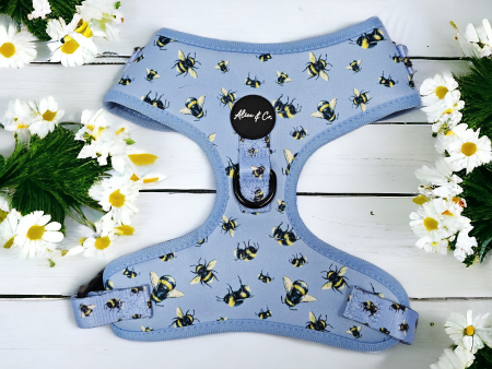 Alice & Co - Harness - Busy Bee For Sale