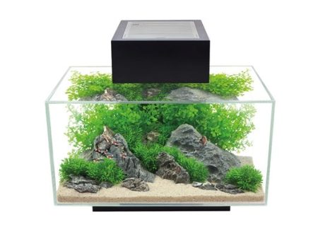 Fluval Edge 2.0 - 23 Litre Aquarium Discount