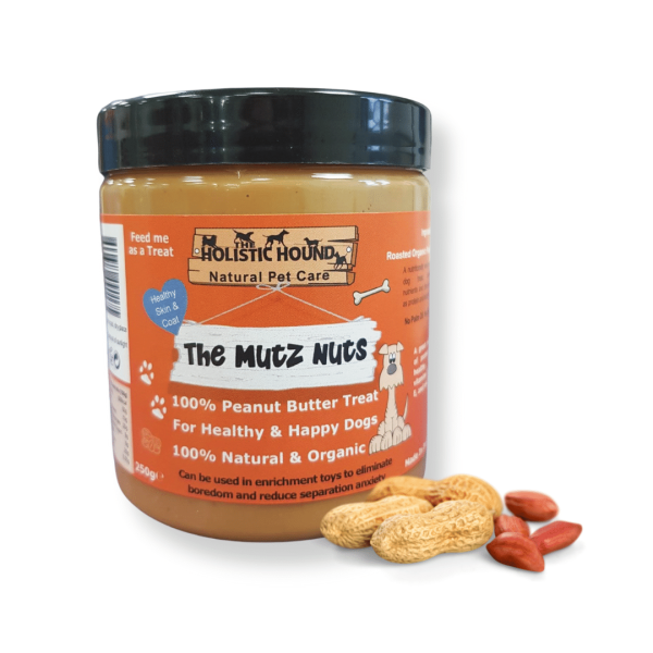 Holistic Hound - Mutz Nutz - Peanut Butter Fashion