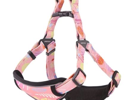 Alice & Co - Harness - Pink Summer Leaf Sale