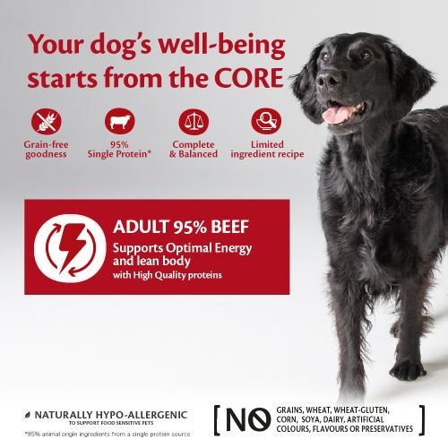 Wellness Core 95% Beef with Broccoli Wet Adult Grain Free Wet Dog Food 6 x 400g Supply