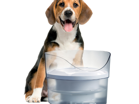 Zeus Drinking Fountain - Fresh & Clear - with Splash Guard Online now