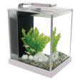 Fluval Spec 10 Litre  Desktop Glass Aquarium- White Online now