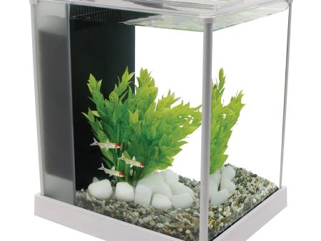 Fluval Spec 10 Litre  Desktop Glass Aquarium- White Online now