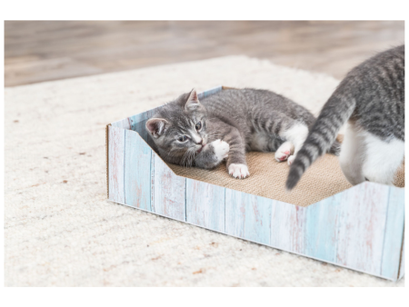 Cat Scratching Bed Hot on Sale