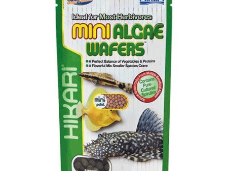 Hikari Mini Algae Sinking Wafers Discount