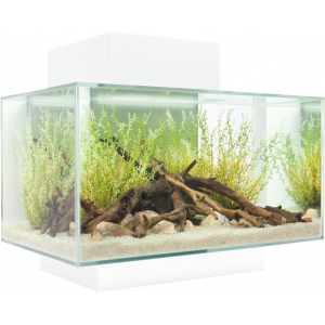 Fluval Edge 2.0 - 23 Litre Aquarium Discount