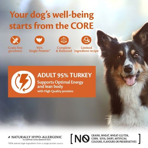 Wellness Core 95% Turkey with Kale Wet Adult Grain Free Dog Food 6 x 400g Fashion