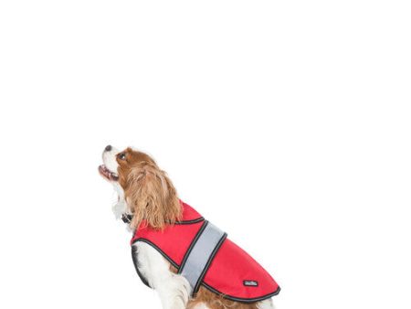 Trespaws Duke 2 IN 1 Red Waterproof Dog Jacket (S) Fashion