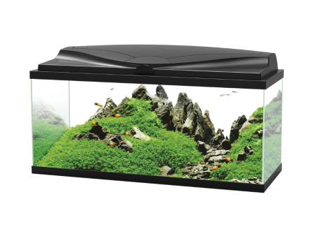 Ciano Aquarium 80 LED Black 71L Online Hot Sale