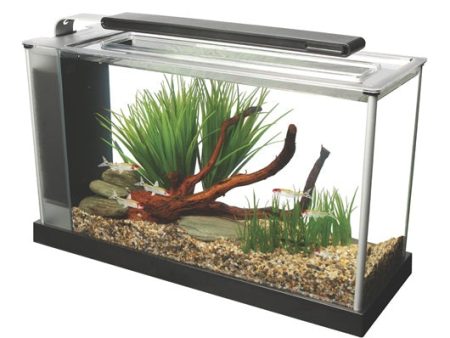 Fluval Spec 19 Litre  Desktop Glass Aquarium  - Black Supply