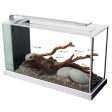 Fluval Spec 19 Litre  Desktop Glass Aquarium - White Sale