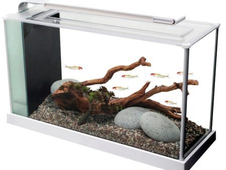 Fluval Spec 19 Litre  Desktop Glass Aquarium - White Sale